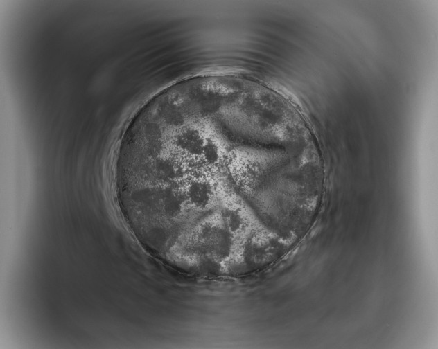 X0000091720337200709141210