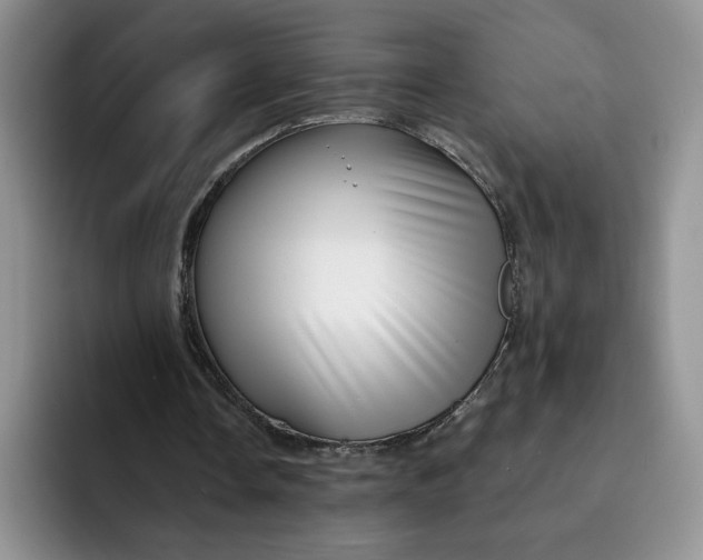 X0000091720338200709141210