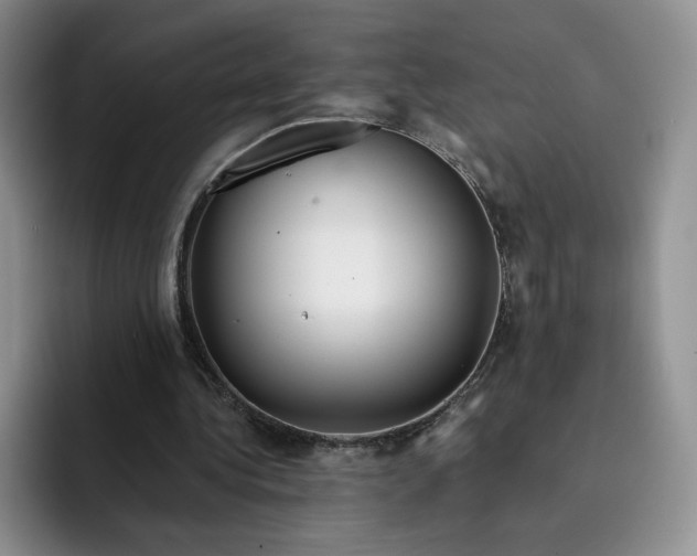 X0000091720340200709141210