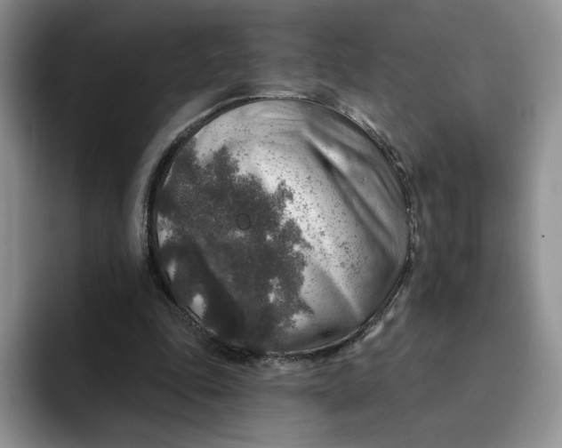 X0000091720343200709141210