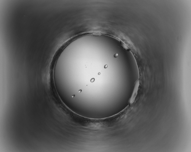 X0000091720344200709141210