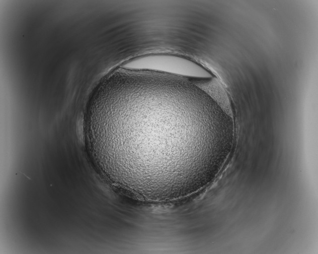 X0000091720345200709141210