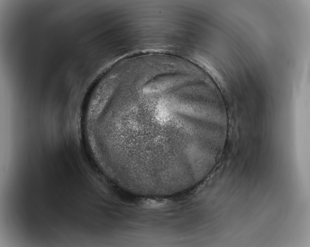 X0000091720346200709141210