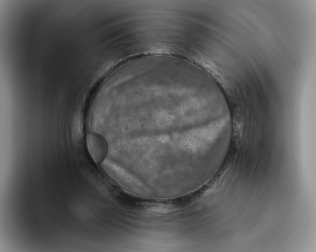 X0000091720347200709141210