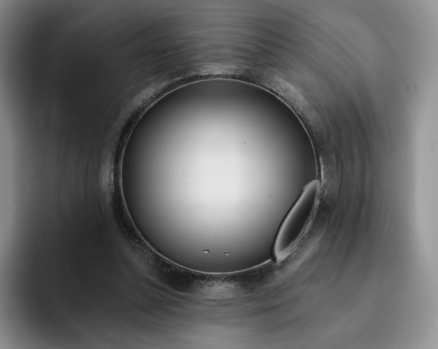 X0000091720348200709141210