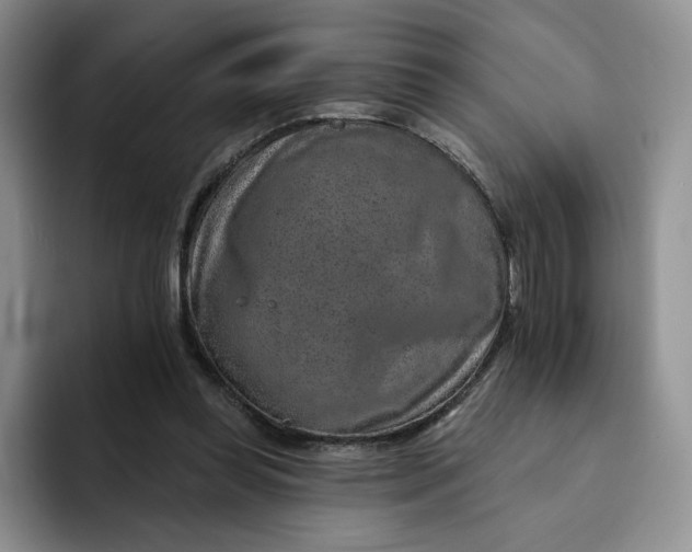 X0000091720349200709141210