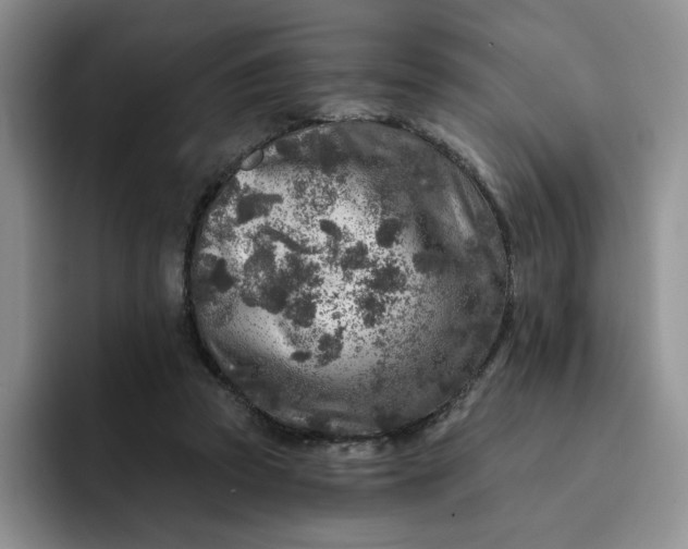 X0000091720353200709141210