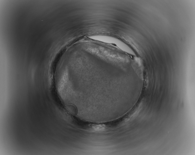 X0000091720355200709141210