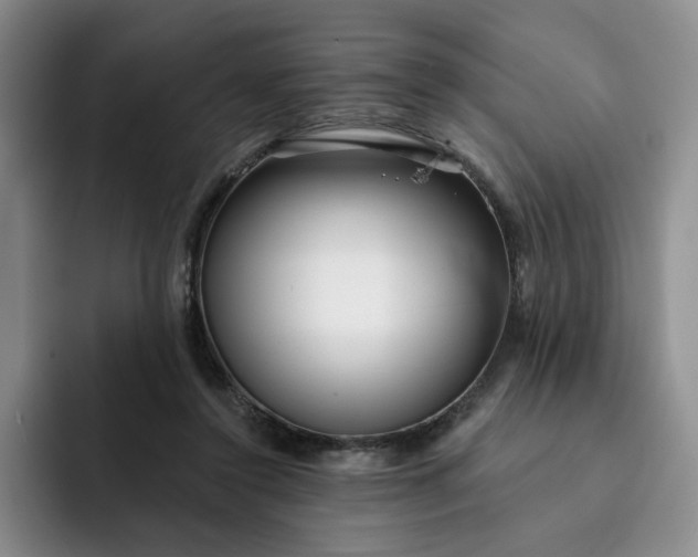 X0000091720356200709141210