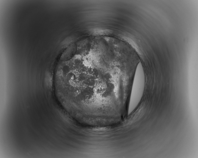 X0000091720357200709141210