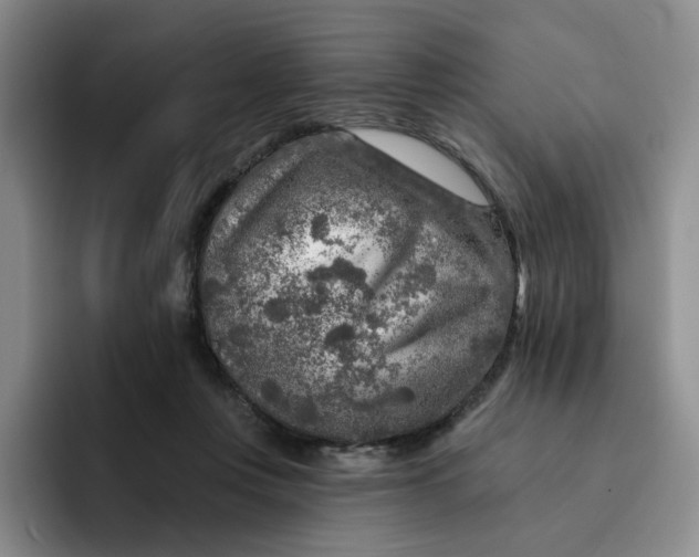 X0000091720359200709141210