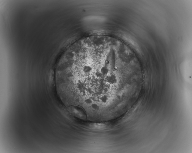 X0000091720361200709141210