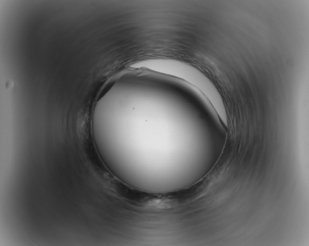 X0000091720364200709141210