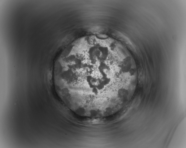 X0000091720365200709141210