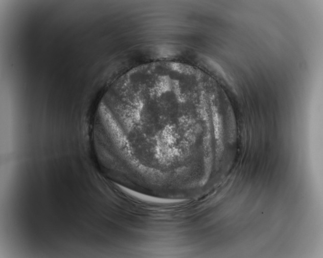 X0000091720366200709141210