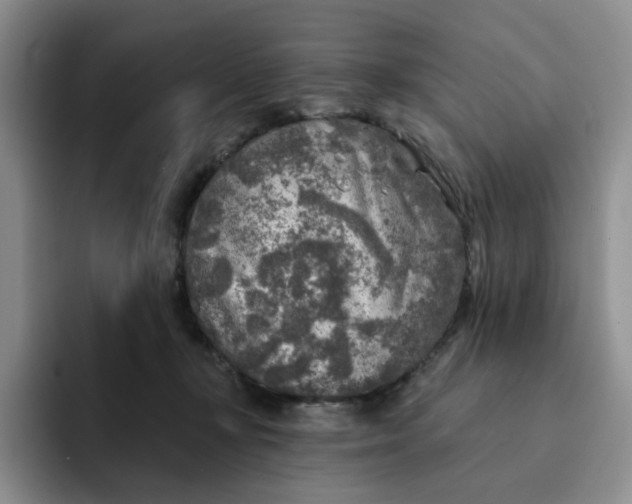 X0000091720367200709141210