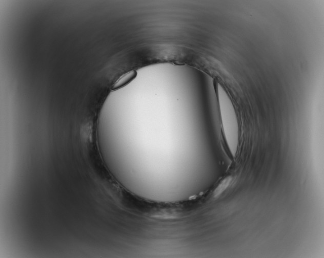 X0000091720368200709141210