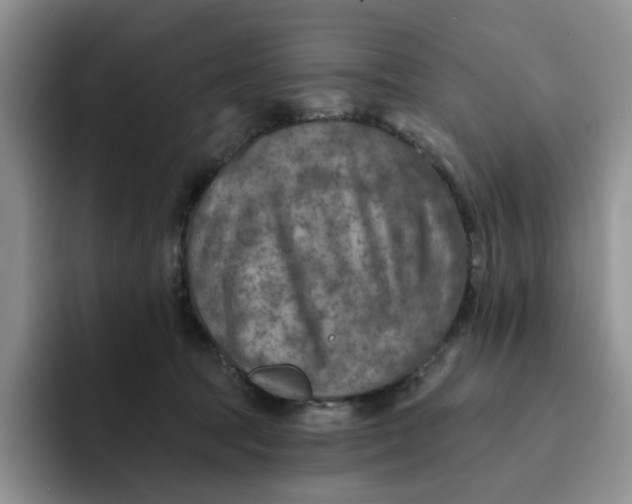 X0000091720369200709141210