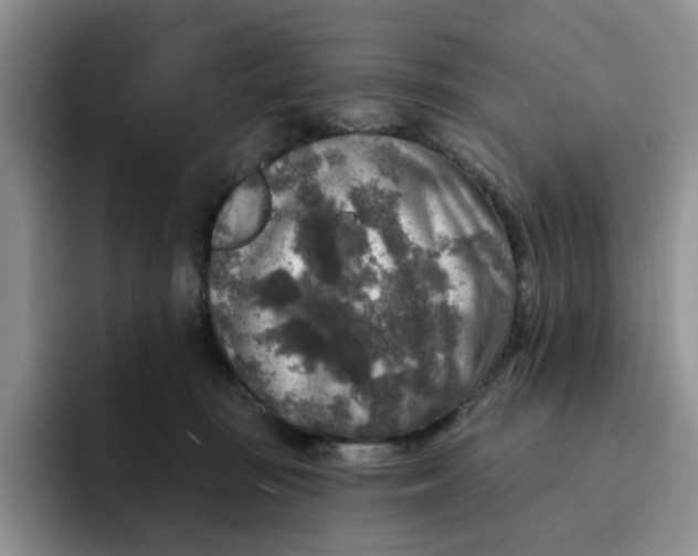 X0000091720371200709141210