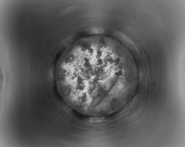 X0000091720373200709141210