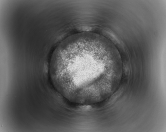 X0000091720374200709141210