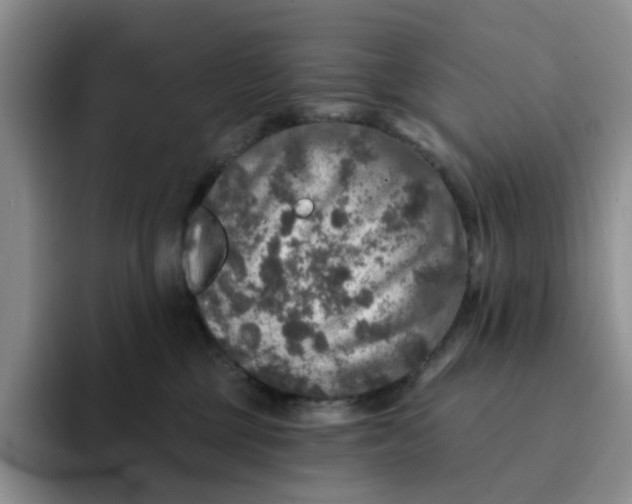 X0000091720377200709141210