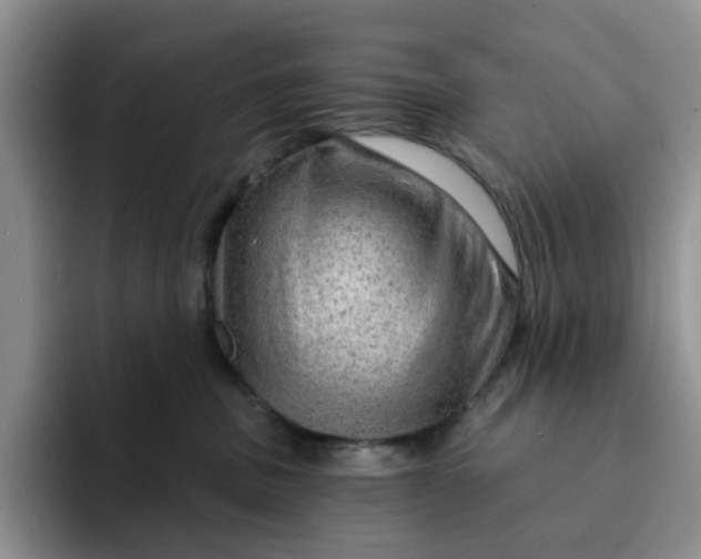 X0000091720379200709141210