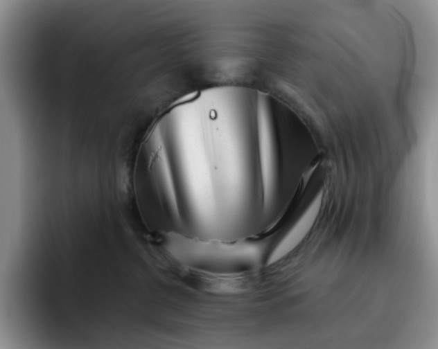 X0000091720380200709141210