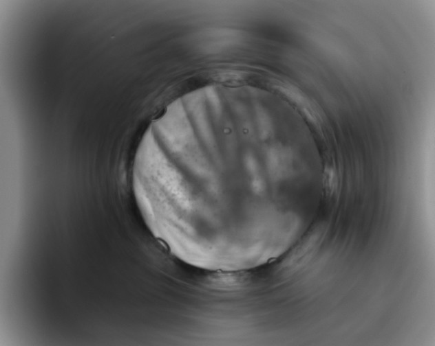 X0000091720381200709141210