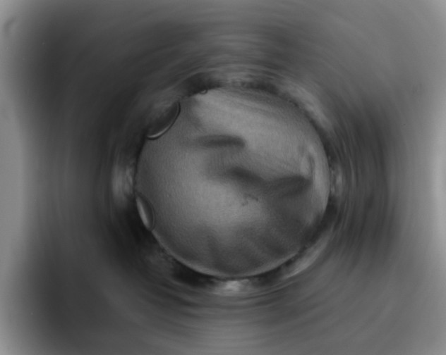 X0000091720382200709141210