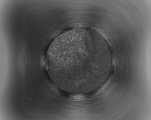 X0000091720383200709141210