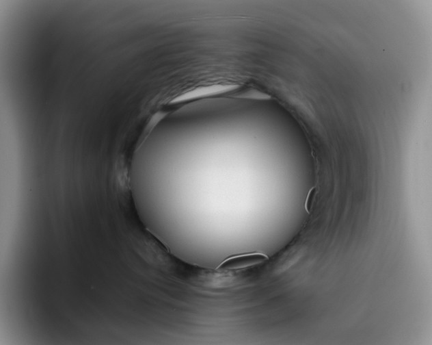 X0000091720384200709141210