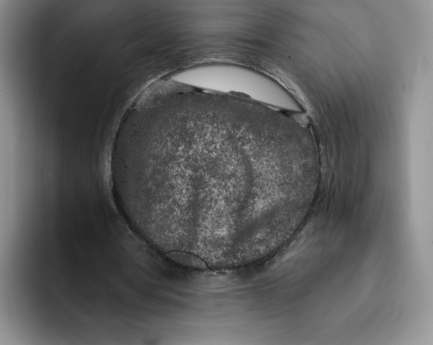 X0000091720386200709141210