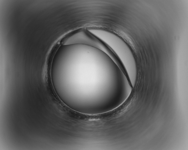 X0000091720388200709141210