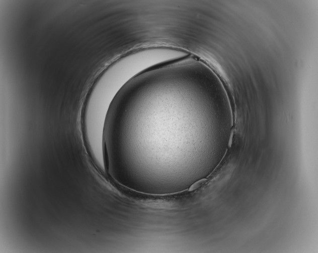 X0000091720389200709141210