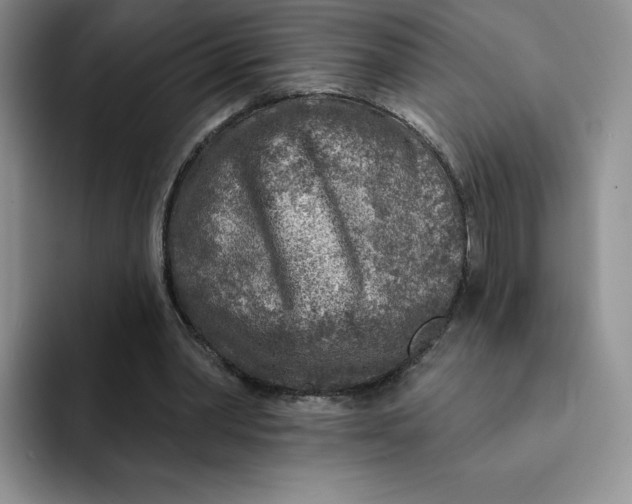 X0000091720390200709141210