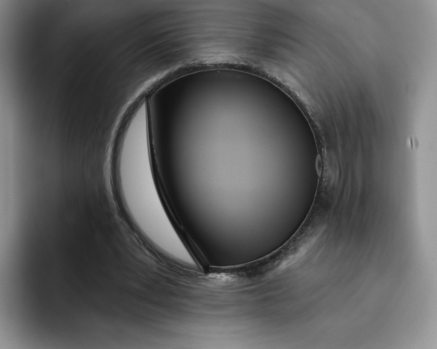 X0000091720391200709141210