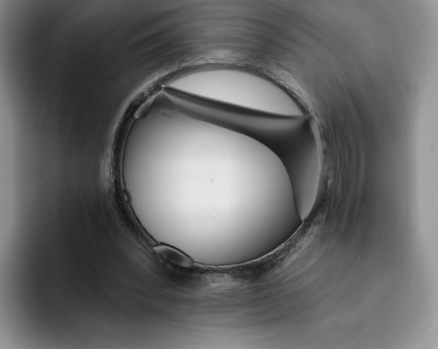 X0000091720392200709141210