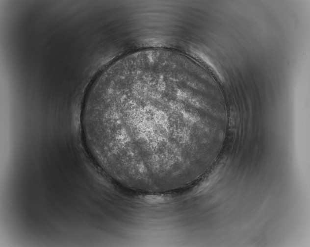 X0000091720394200709141209