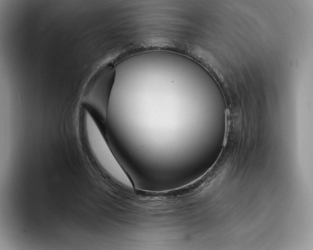 X0000091720395200709141209