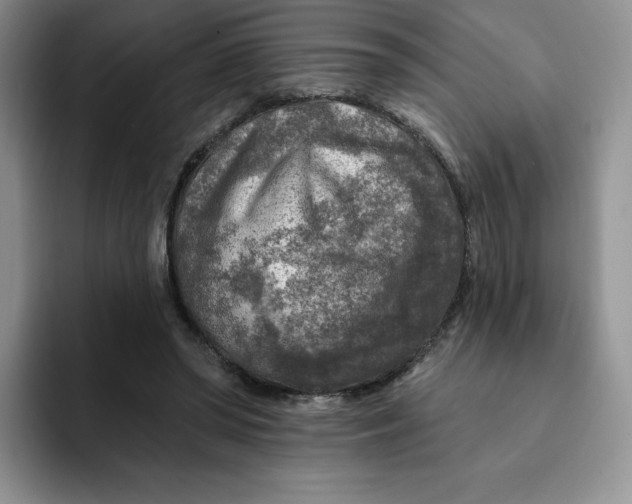 X0000091720398200709141209