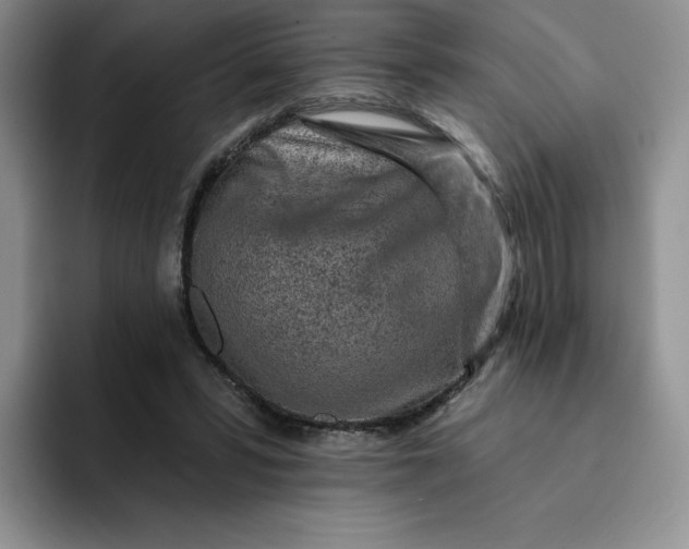 X0000091720399200709141209