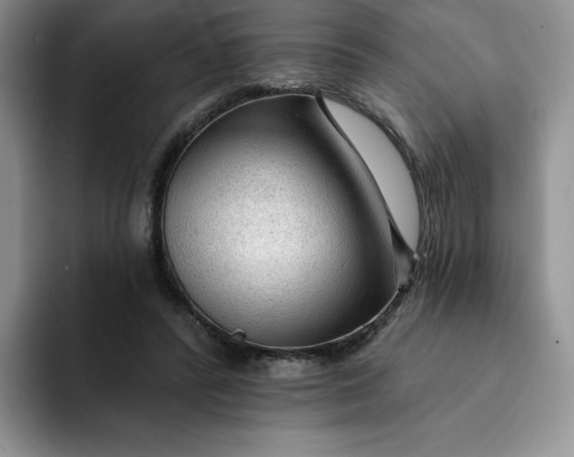 X0000091720400200709141209