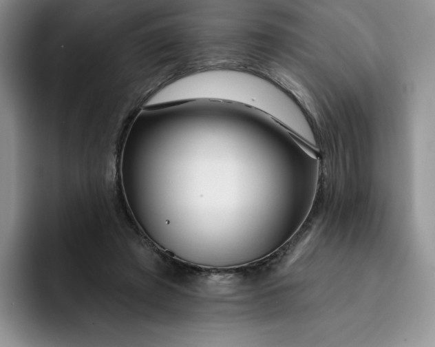 X0000091720401200709141209