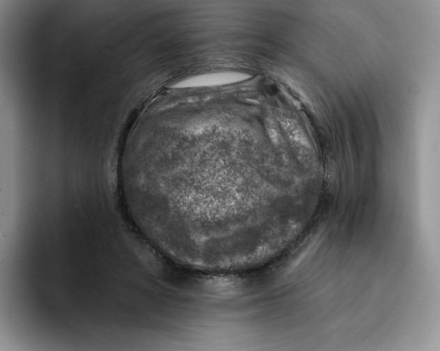 X0000091720402200709141209