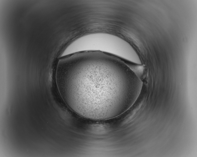 X0000091720404200709141209