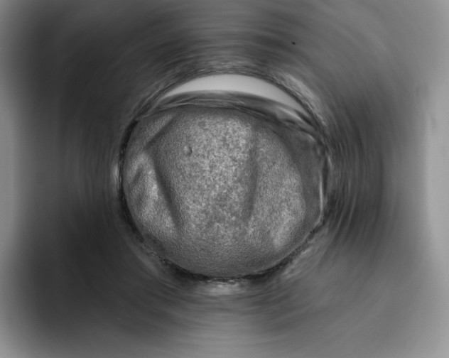 X0000091720405200709141209