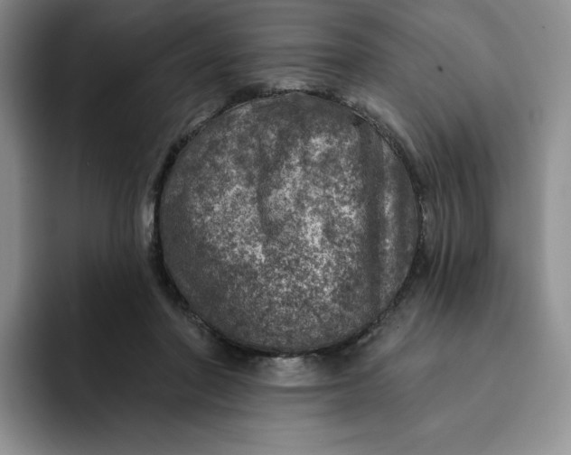 X0000091720406200709141209