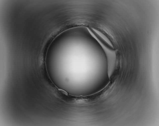 X0000091720407200709141209