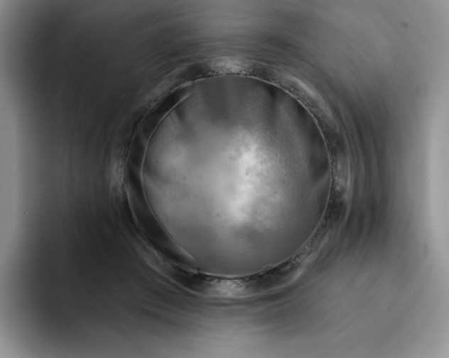 X0000091720409200709141209